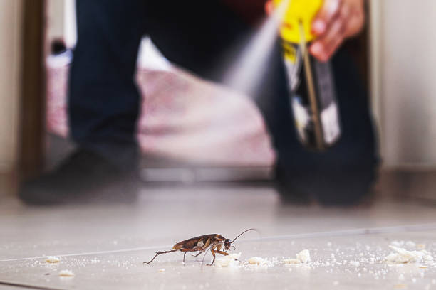 Reliable Philipsburg, PA Pest Control Solutions